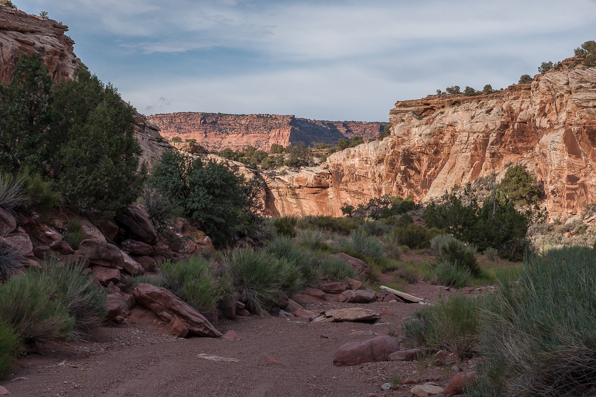 Cove Canyon Wash