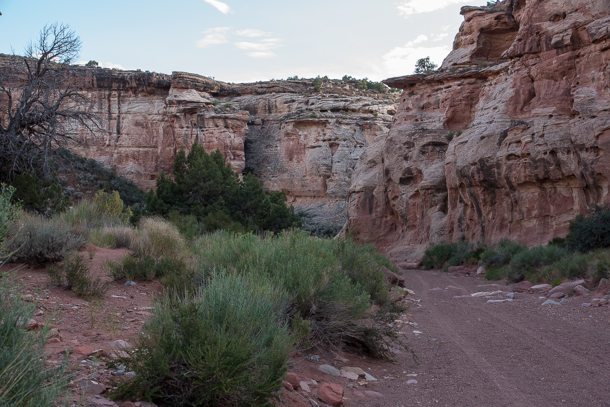 Cove Canyon Wash