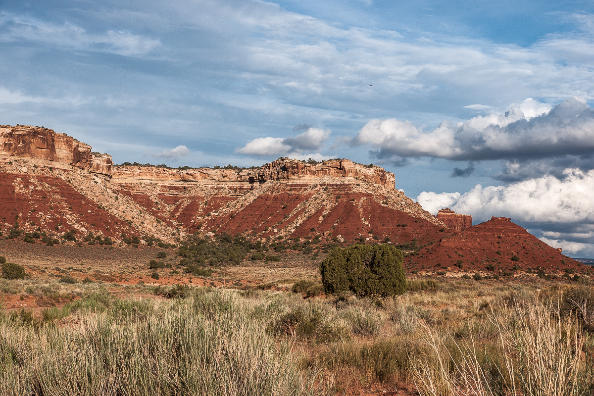 Cove Canyon