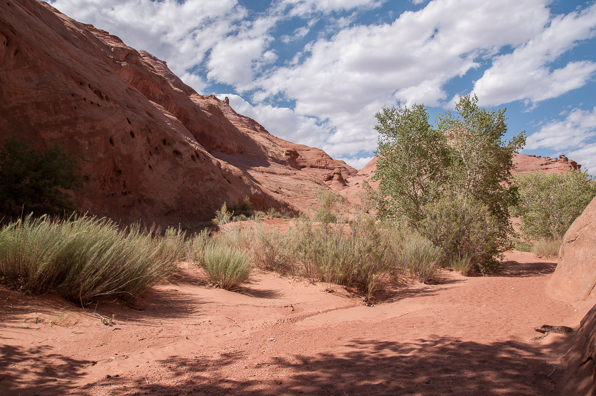 Leprechaun Canyon