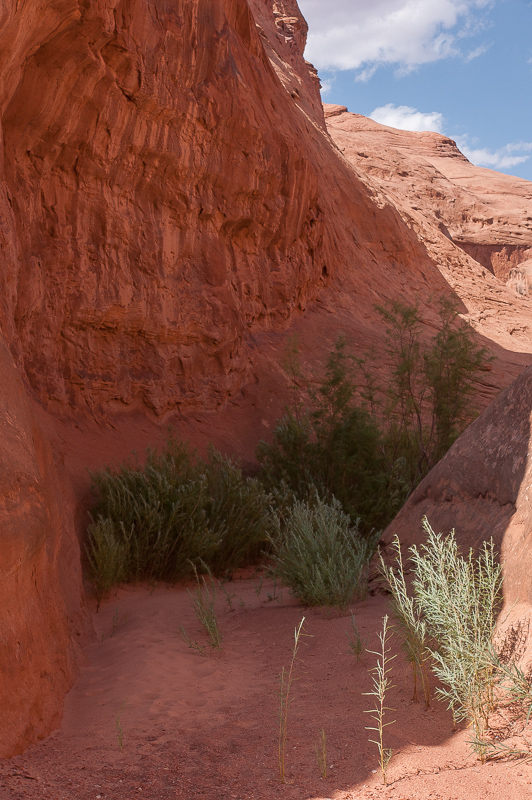 Leprechaun Canyon