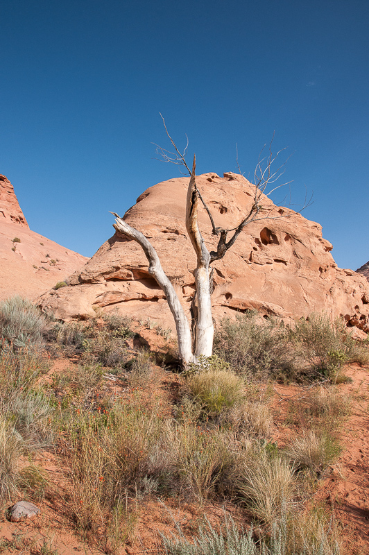 Leprechaun Canyon