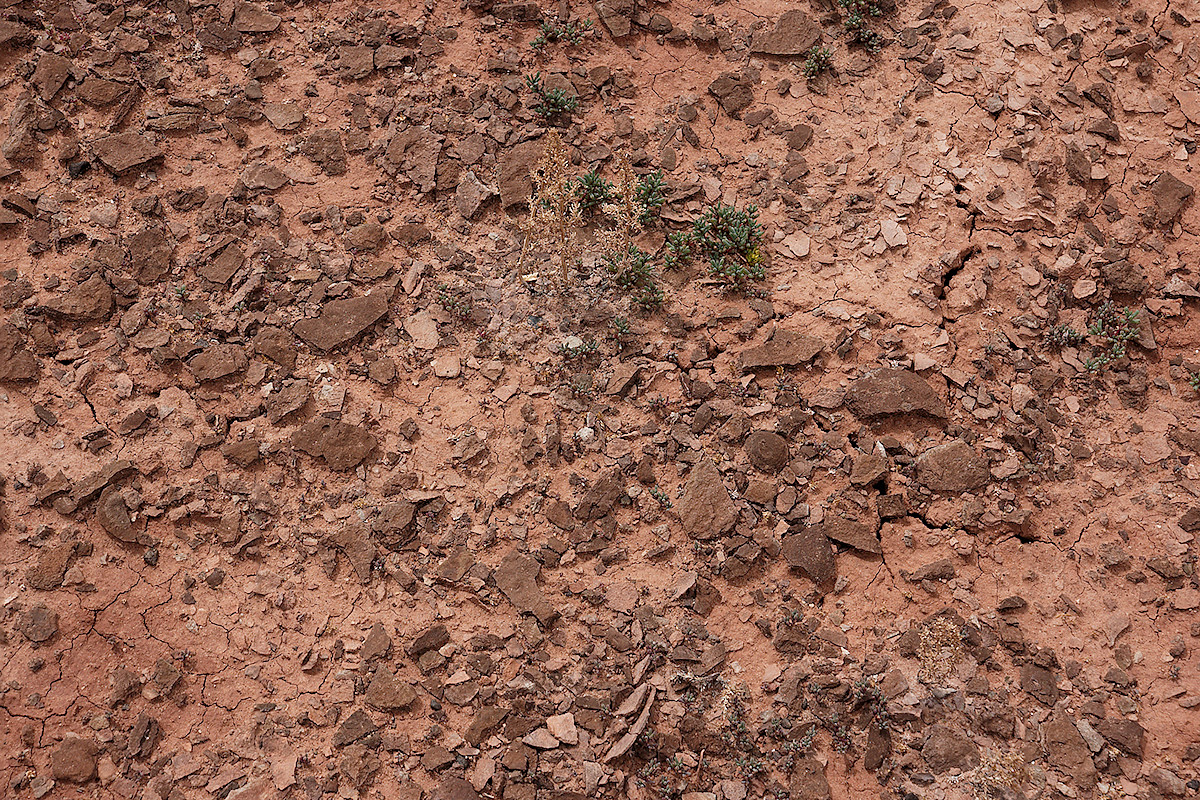 Pinto Hiils Road - Desert Pavement