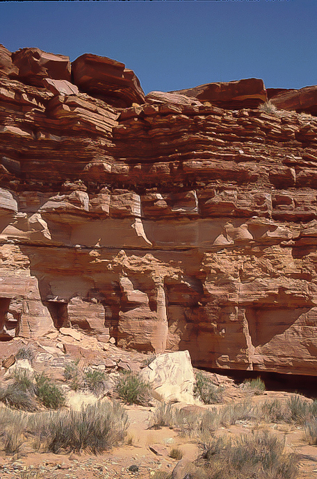 Poison Spring Canyon: Cutler Formation