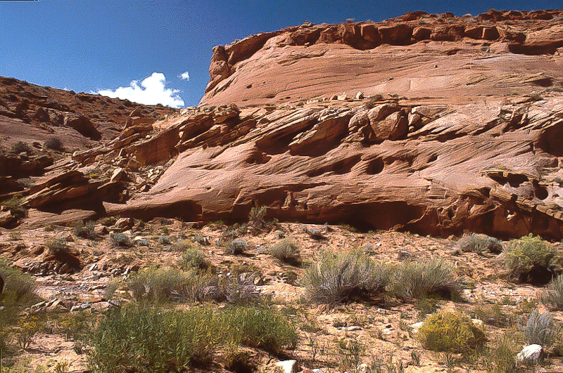 Windgeschichteter Sandstein im Poinson Spring Canyon
