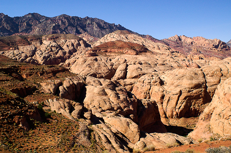 South Fork of Ticaboo Canyon, Ticaboo Shelf Spring