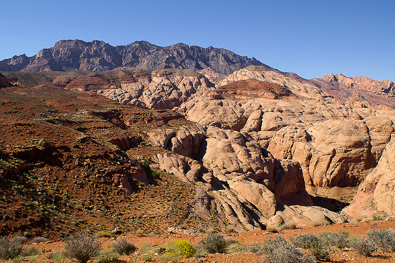 South Fork of Ticaboo Canyon und Mt. Ellsworth