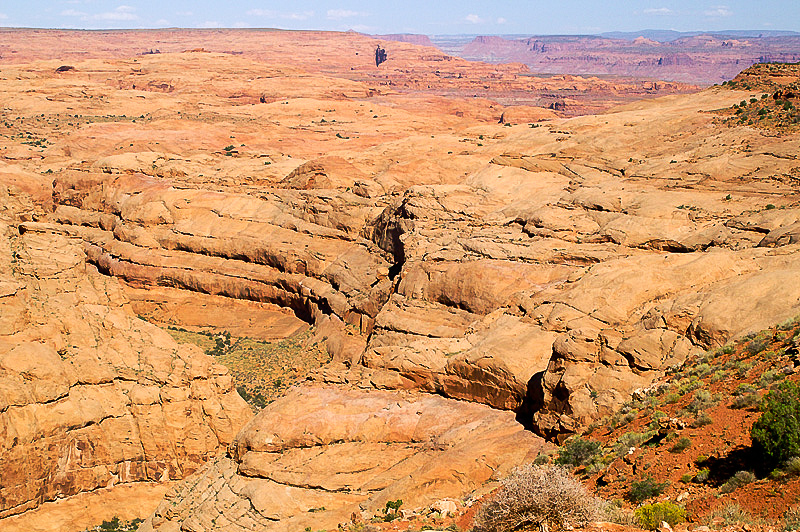 South Fork of Ticaboo Canyon