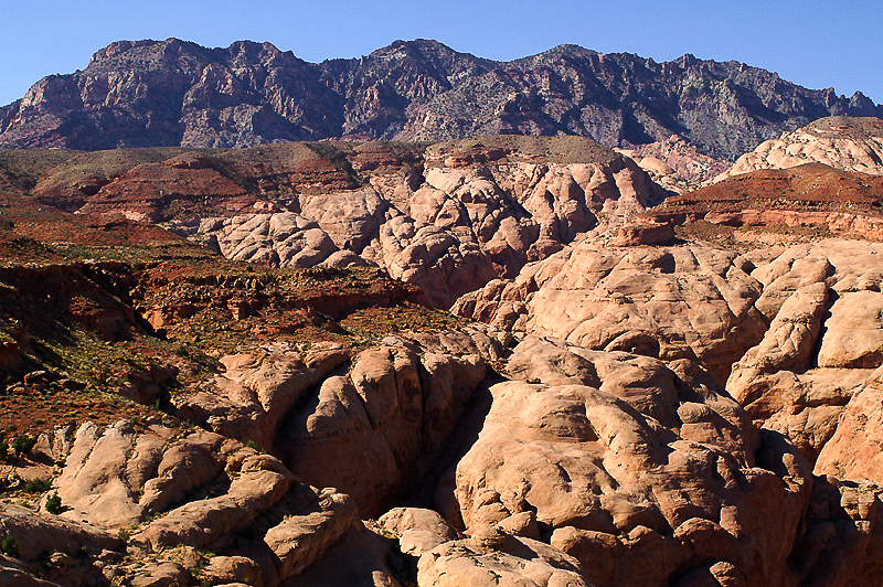 South Fork of Ticaboo Canyon