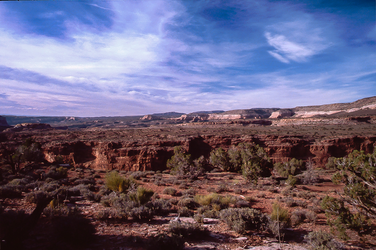 Dolores River Canyon Overlook