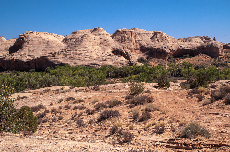 Texas Bob Dugway