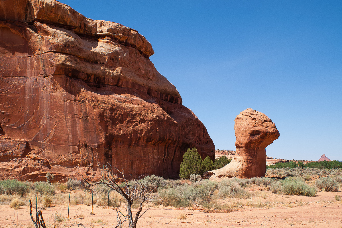 Snail Rock im Davis Canyon