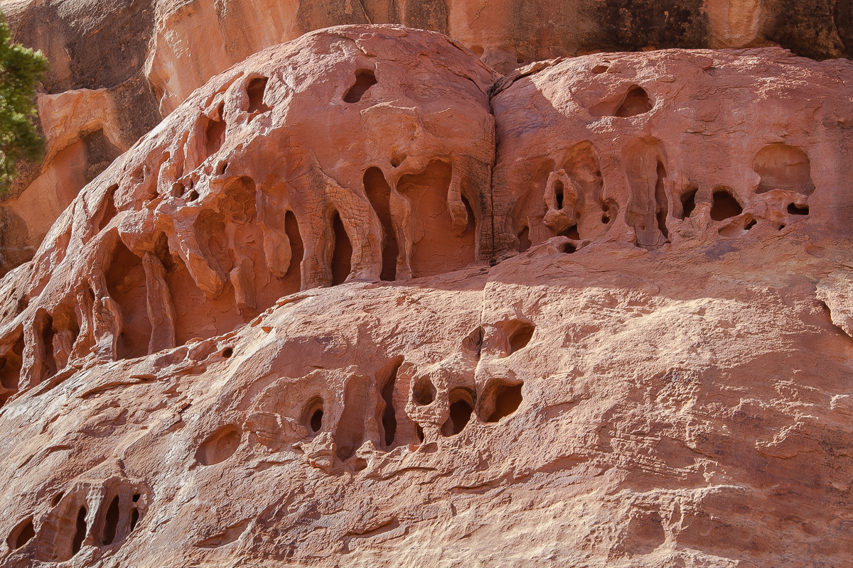 Westlicher Seitenarm des Davis Canyons