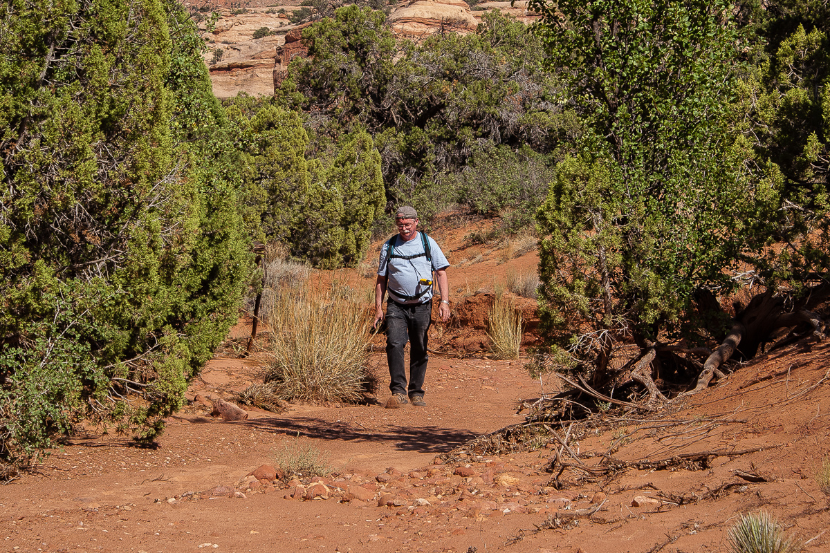 Westlicher Seitenarm des Davis Canyons