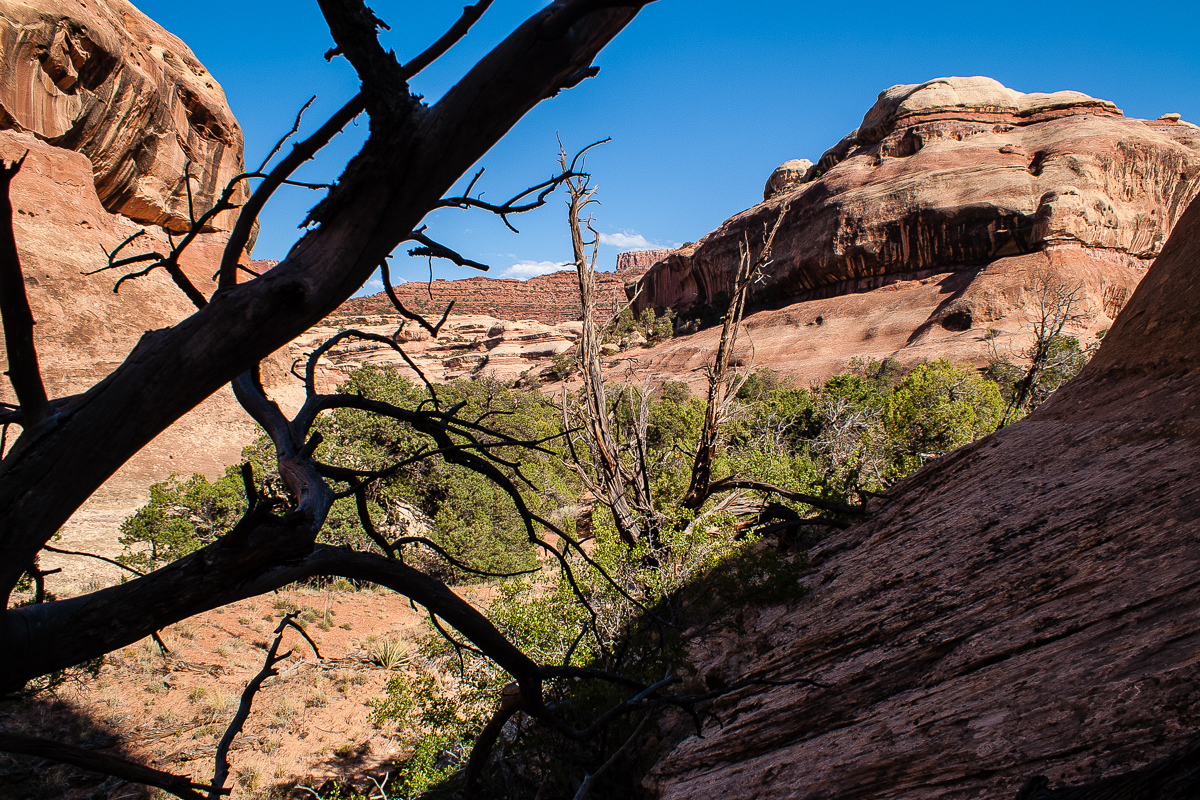 Westlicher Seitenarm des Davis Canyons