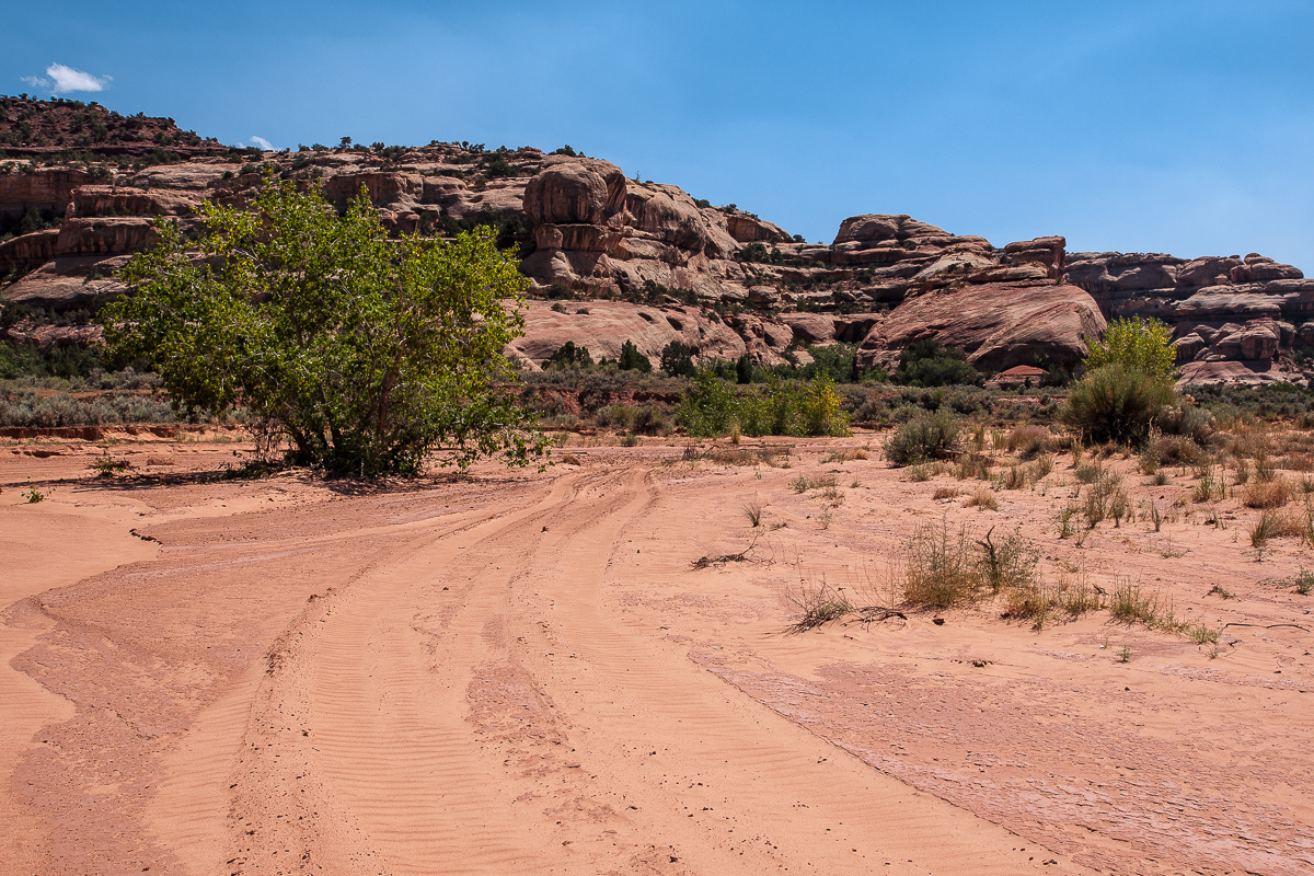 Davis Canyon