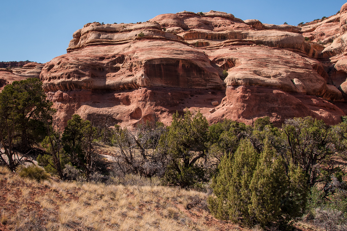 Westlicher Seitenarm des Davis Canyons