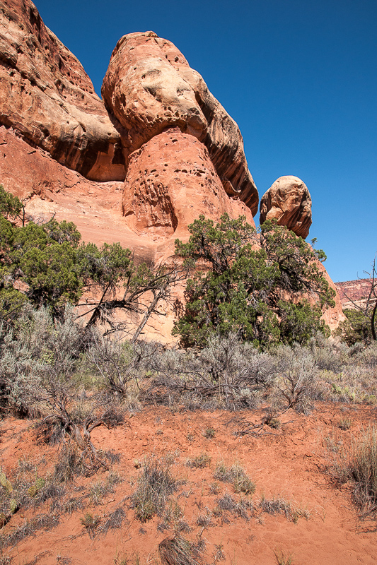 Westlicher Seitenarm des Davis Canyons