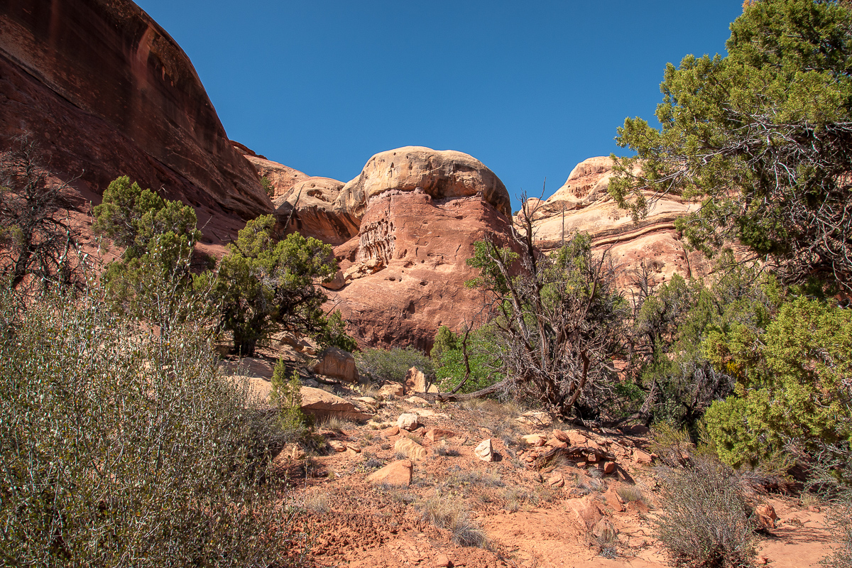 Westlicher Seitenarm des Davis Canyons