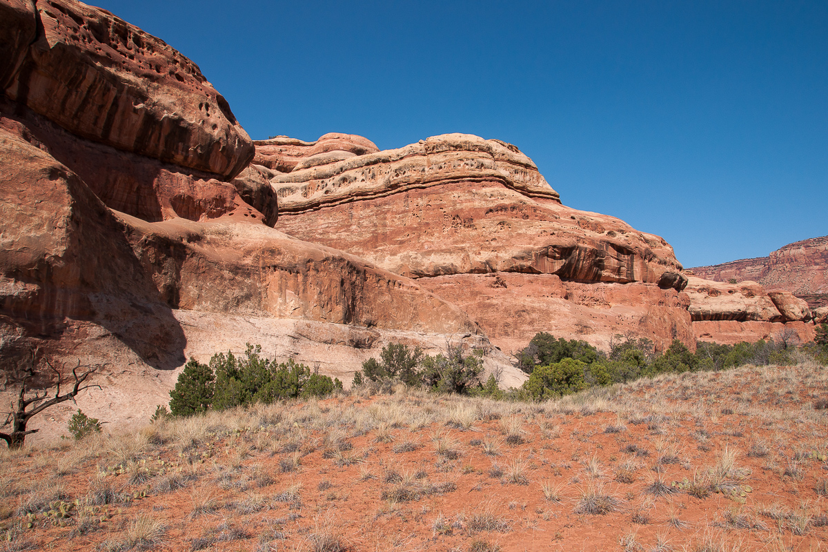 Westlicher Seitenarm des Davis Canyons