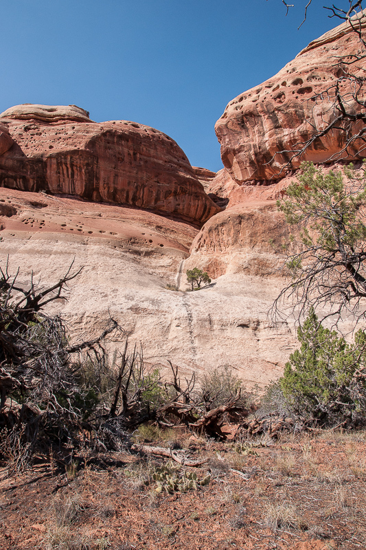 Westlicher Seitenarm des Davis Canyons