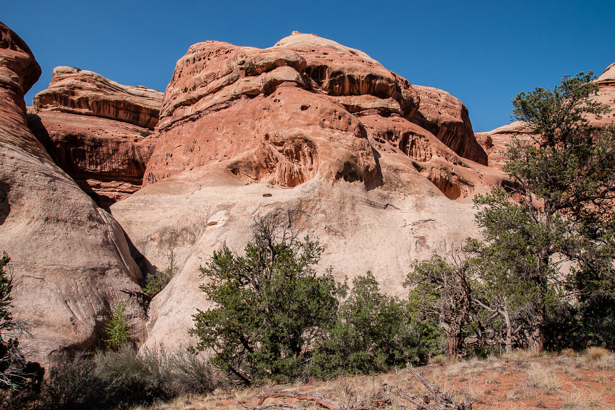 Westlicher Seitenarm des Davis Canyons