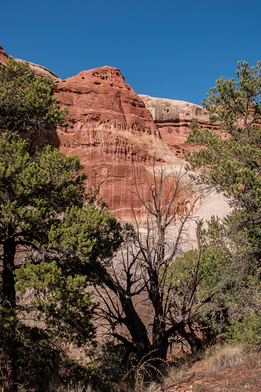 Westlicher Seitenarm des Davis Canyons