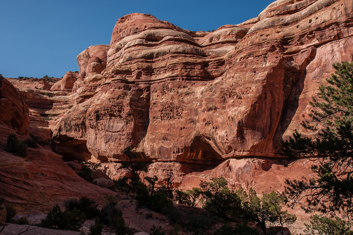 Westlicher Seitenarm des Davis Canyons