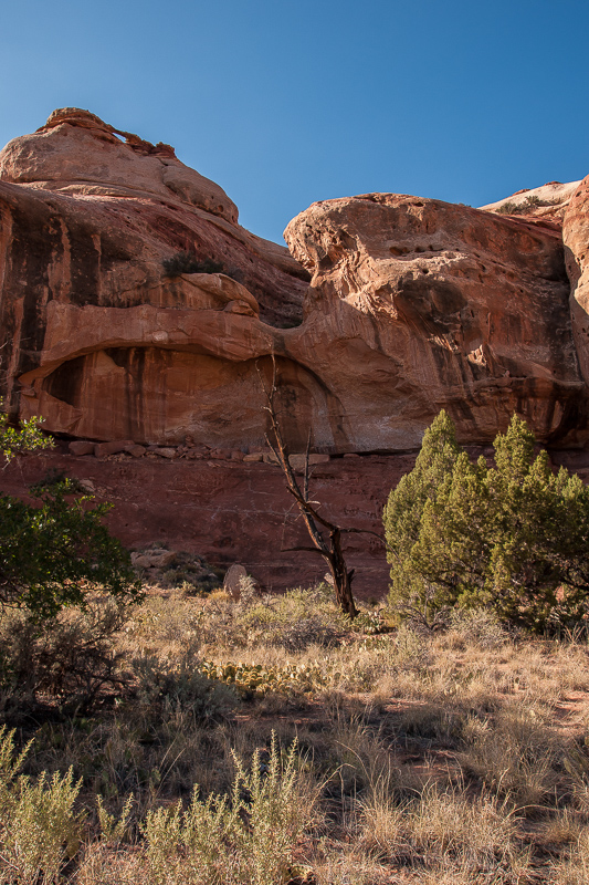 Davis Canyon; Arch