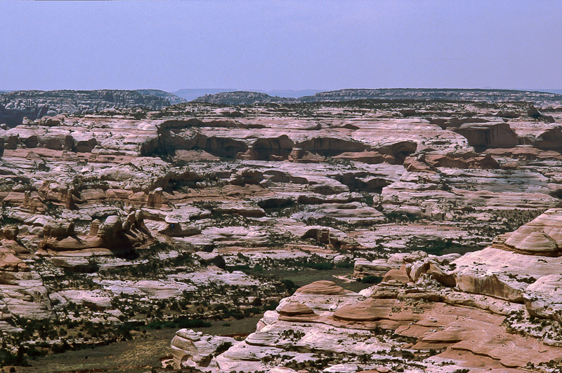 Salt Creek Canyon