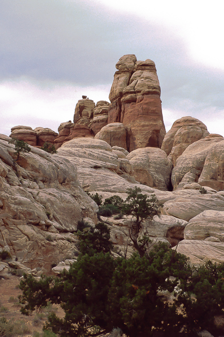 Canyonlands Needles District