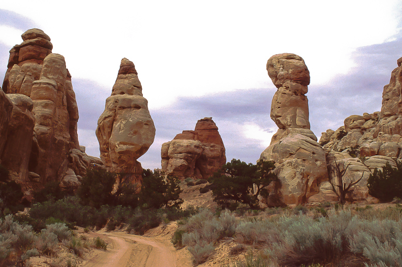 Canyonlands Needles District