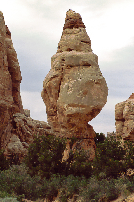 Canyonlands Needles District