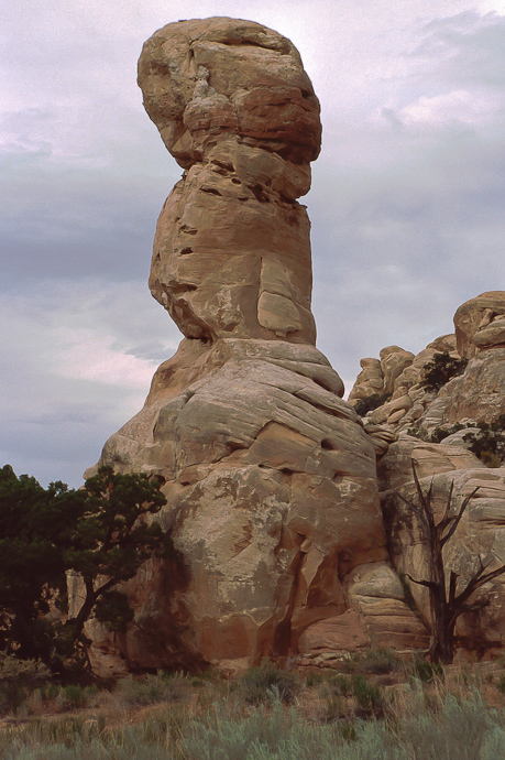 Canyonlands Needles District