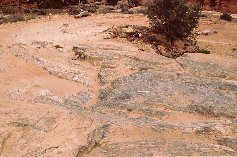 zwischen Silver Stairs und dem Elephant Hill