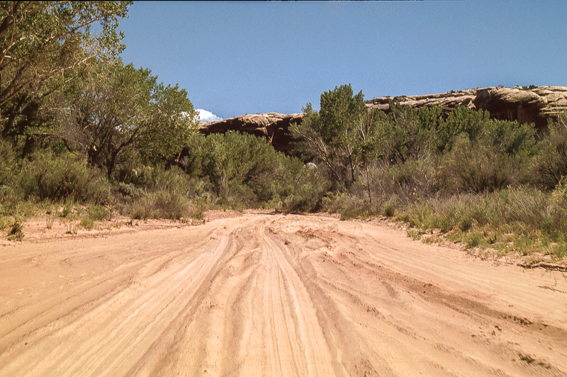 Salt Creek Canyon