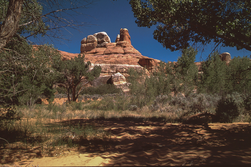 Horse Canyon