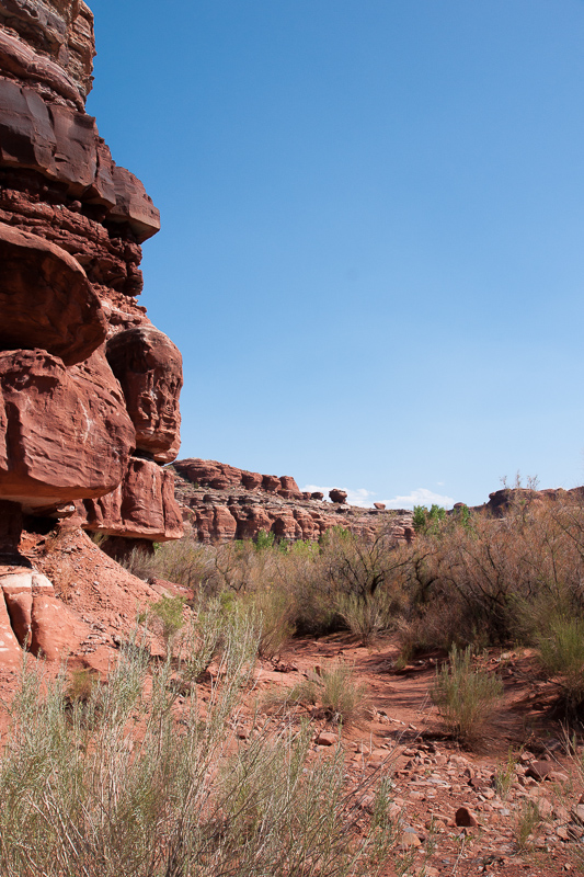 Indian Creek Canyon