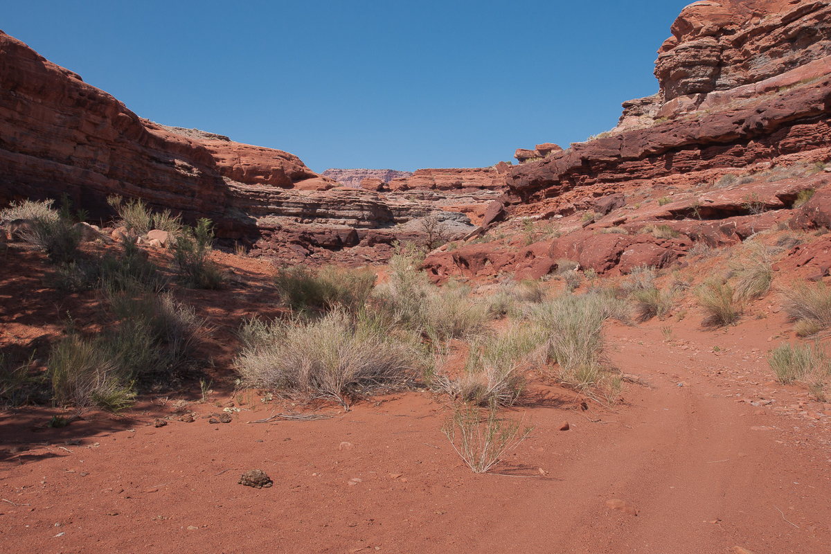 Indian Creek Canyon