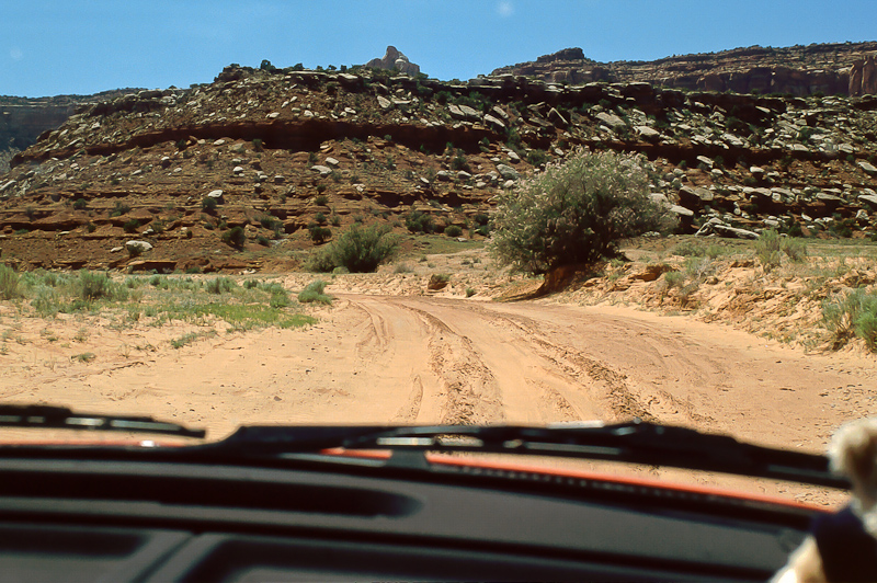 Lavender Canyon