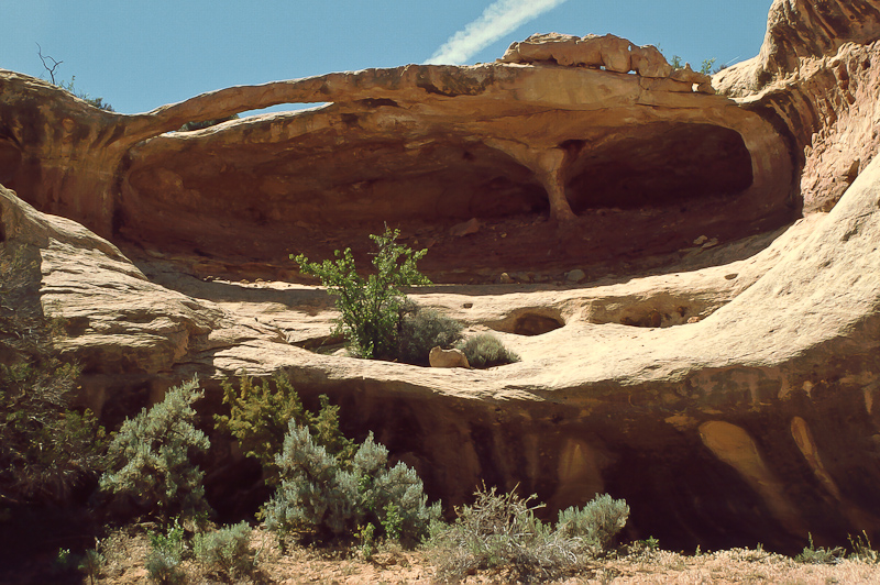 Lavender Canyon