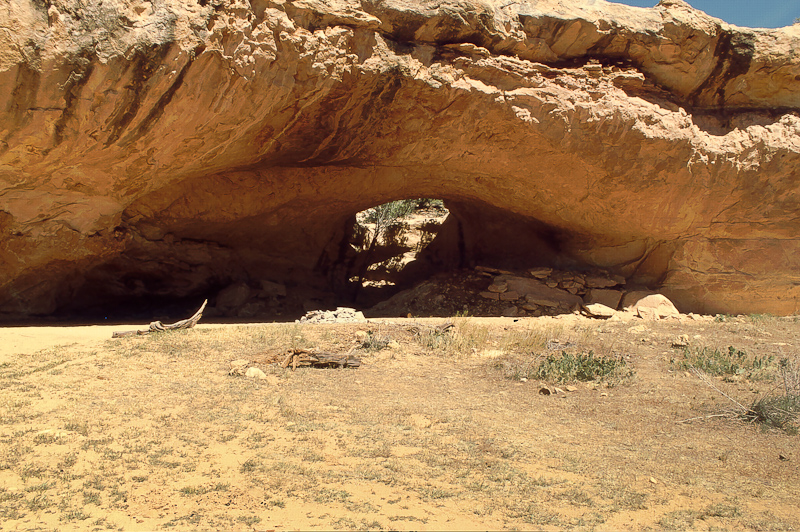 Lavender Canyon