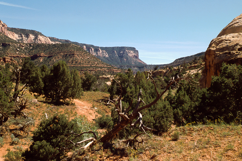 Lavender Canyon - Bridger Jack Mesa