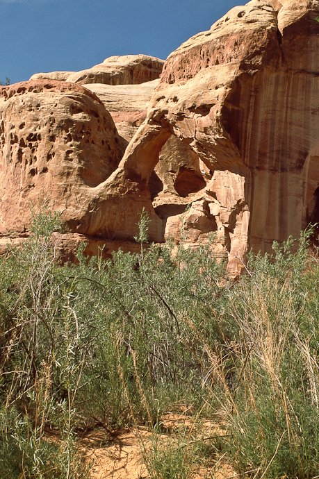 Lavender Canyon