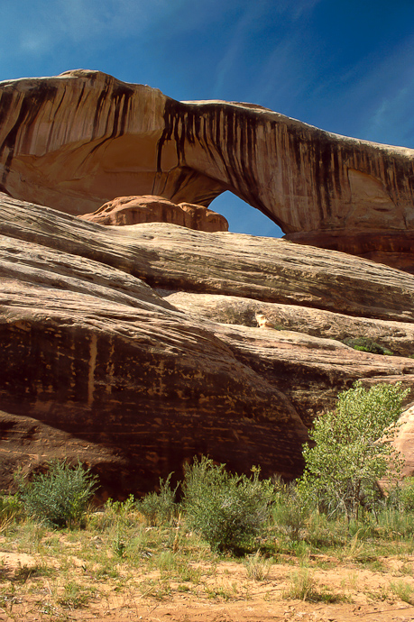 Lavender Canyon: Cleft Arch