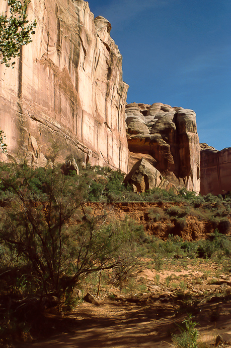 Lavender Canyon