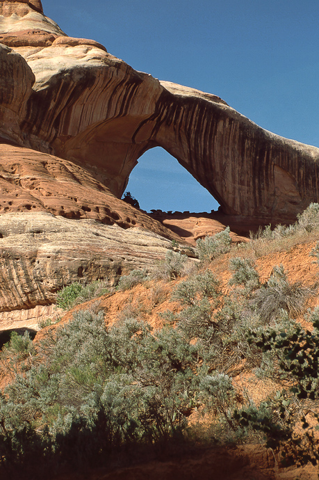 Cleft Arch