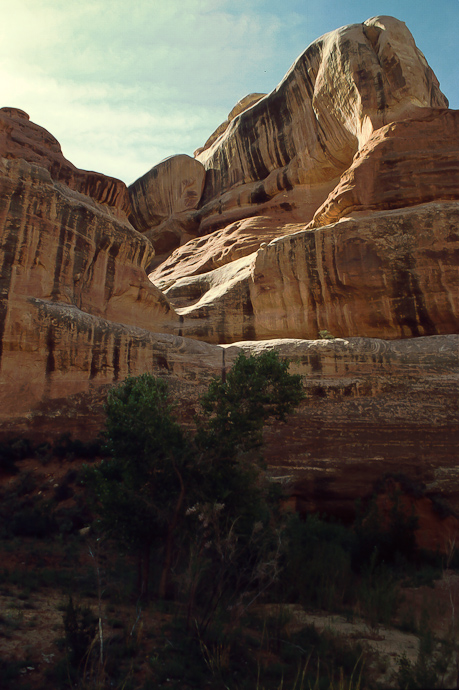 Lavender Canyon