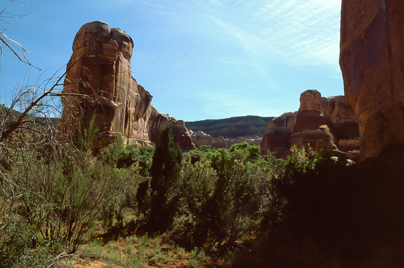 Lavender Canyon