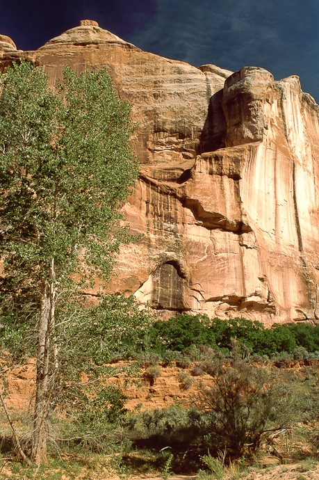 Lavender Canyon